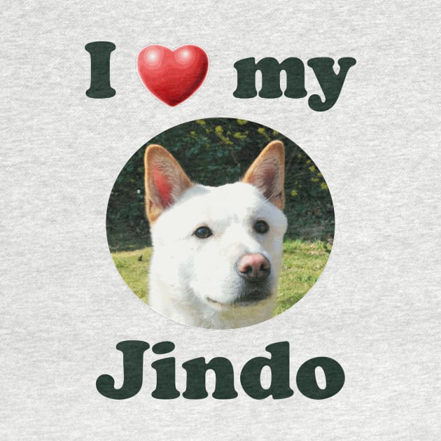 I Love My Jindo by Naves